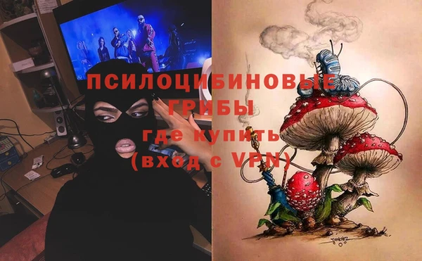 дурь Медвежьегорск
