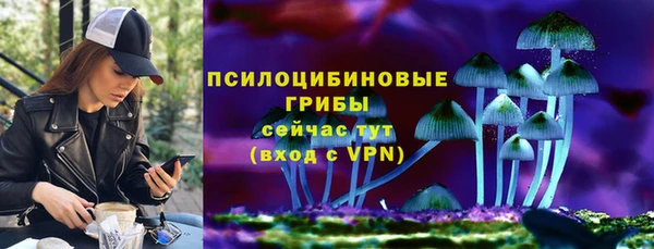 дурь Медвежьегорск