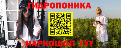 хмурый Гусь-Хрустальный