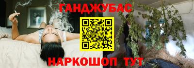 ALPHA PVP Камышлов