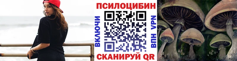 дарнет шоп  Звенигород  Галлюциногенные грибы Psilocybe 