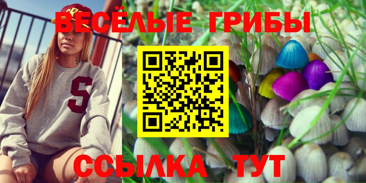 Галлюциногенные грибы GOLDEN TEACHER Звенигород