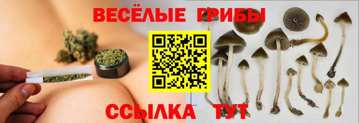 Псилоцибиновые грибы мицелий  Галлюциногенные грибы ЛСД  закладки  Звенигород  Вход с VPN 